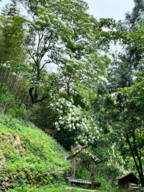 Гостиница 三義包棟民宿柏竺山莊Bozhu villa  Sanyi Township